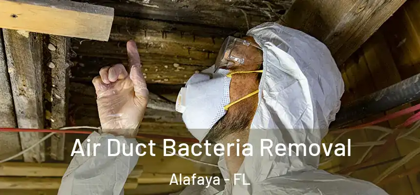 Air Duct Bacteria Removal Alafaya - FL