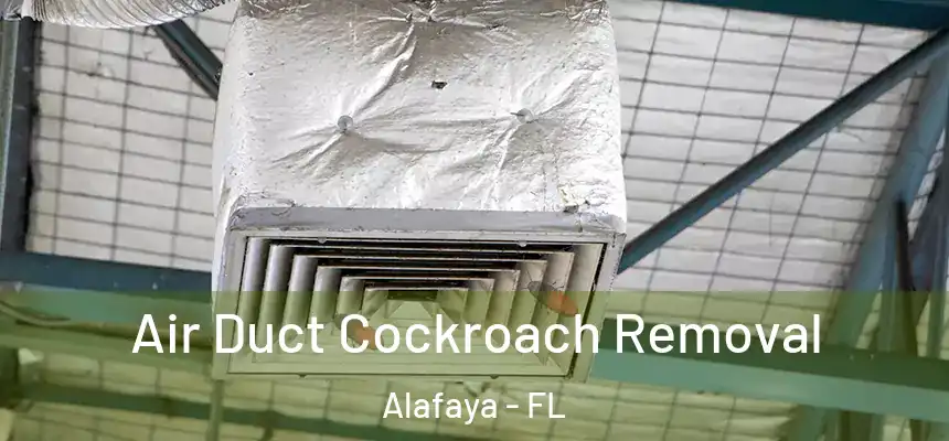 Air Duct Cockroach Removal Alafaya - FL