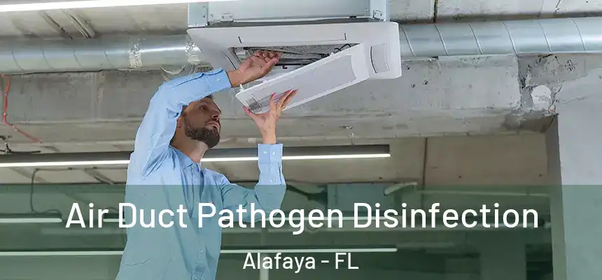 Air Duct Pathogen Disinfection Alafaya - FL