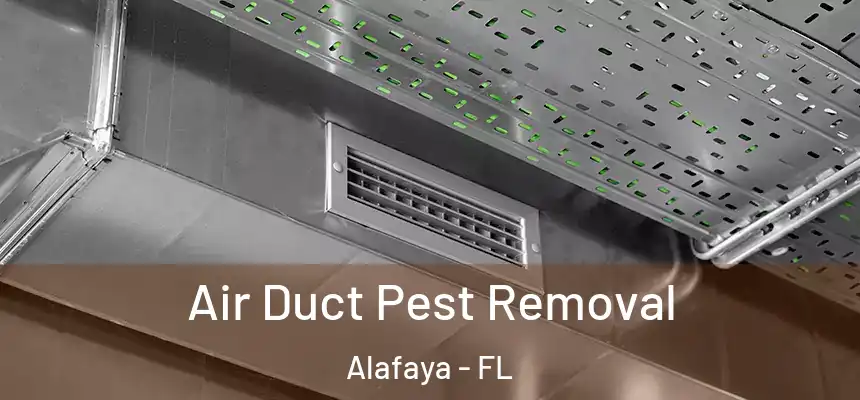 Air Duct Pest Removal Alafaya - FL