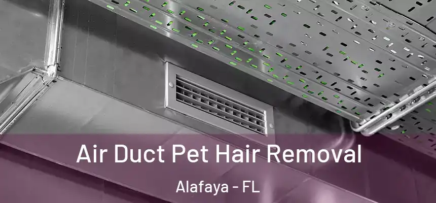Air Duct Pet Hair Removal Alafaya - FL