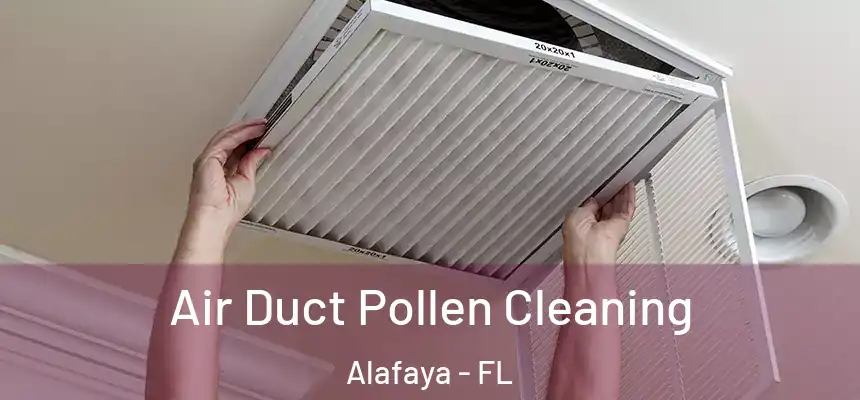 Air Duct Pollen Cleaning Alafaya - FL