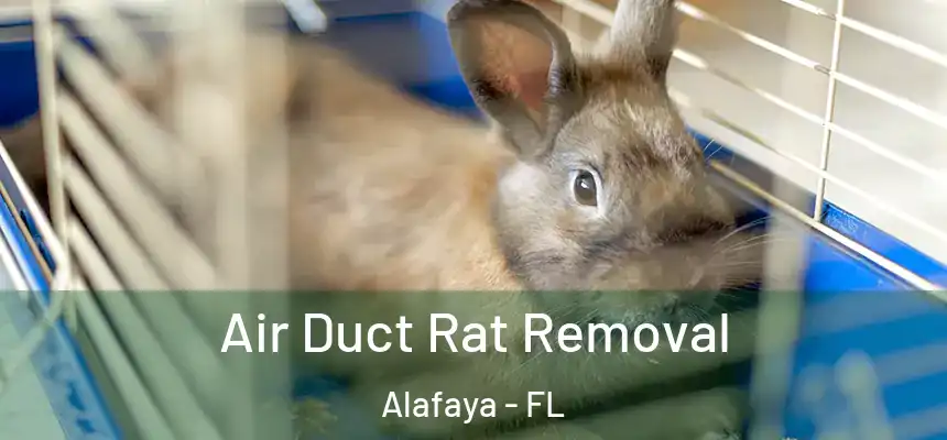 Air Duct Rat Removal Alafaya - FL