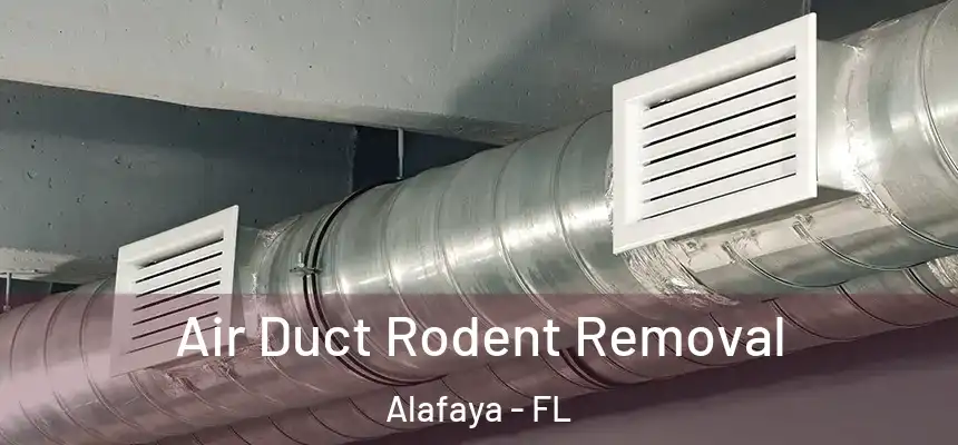 Air Duct Rodent Removal Alafaya - FL
