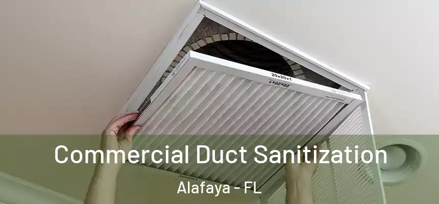 Commercial Duct Sanitization Alafaya - FL