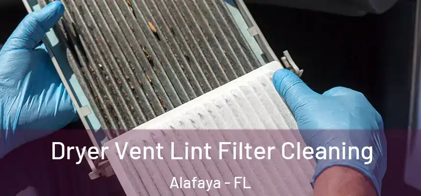 Dryer Vent Lint Filter Cleaning Alafaya - FL