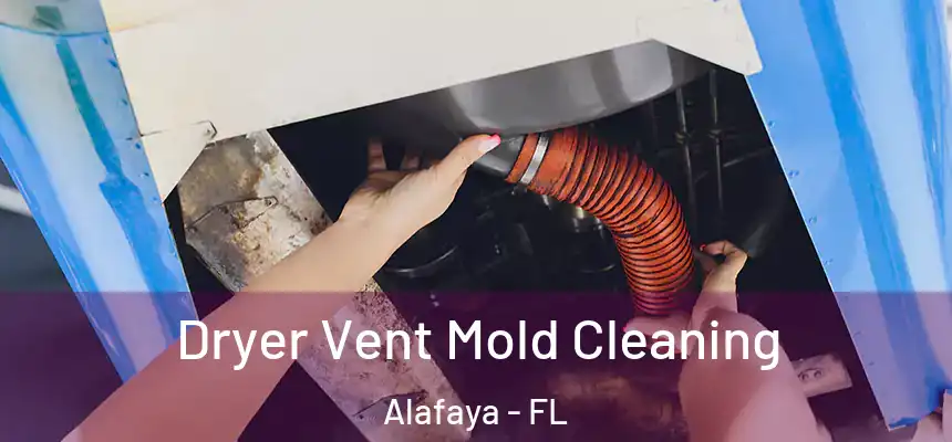 Dryer Vent Mold Cleaning Alafaya - FL