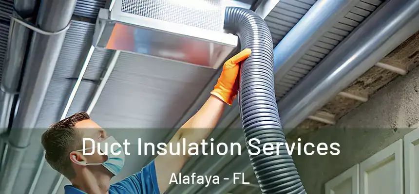 Duct Insulation Services Alafaya - FL