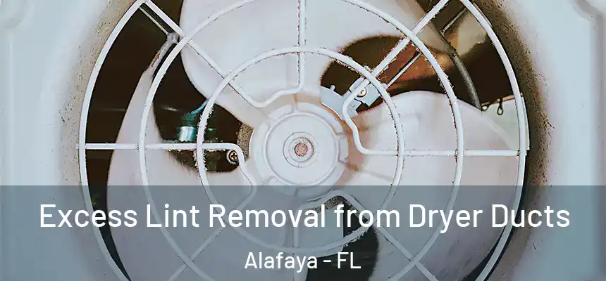 Excess Lint Removal from Dryer Ducts Alafaya - FL