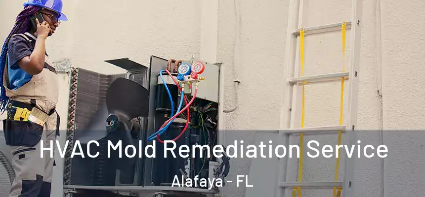 HVAC Mold Remediation Service Alafaya - FL