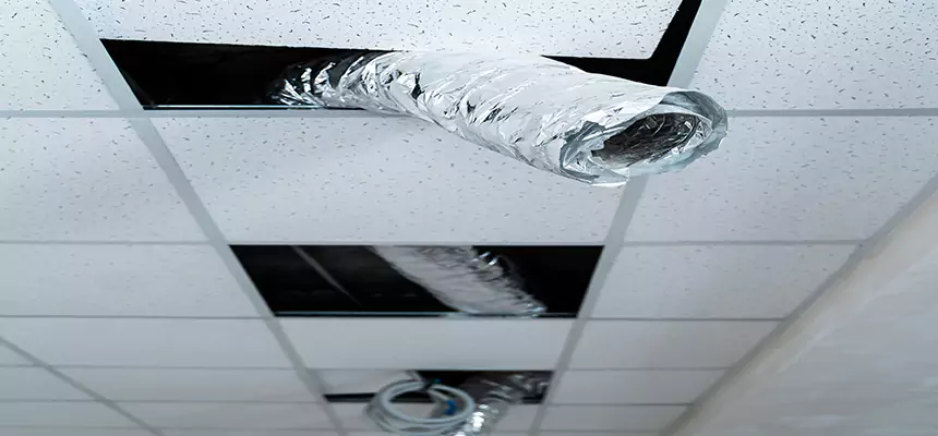 Affordable HVAC Sanitizing After Pest Removal in Alafaya