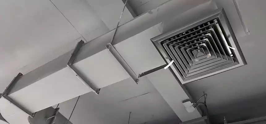 Restorative Allergy Relief Vent Cleaning – Coil, Blower & Housing Detail in Alafaya