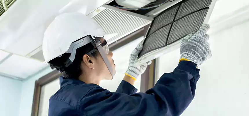 Our Mold & Mildew Removal from Air Ducts Services in Alafaya, FL