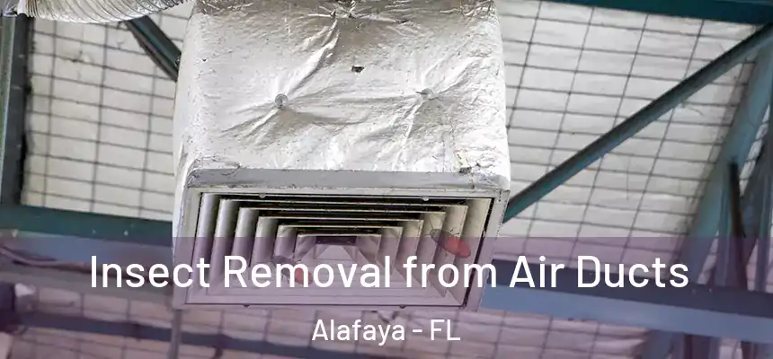 Insect Removal from Air Ducts Alafaya - FL