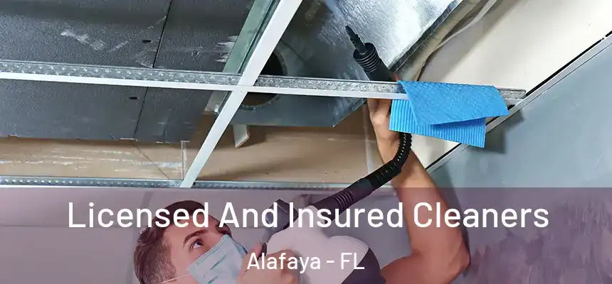 Licensed And Insured Cleaners Alafaya - FL