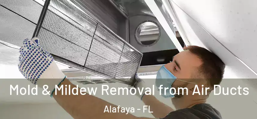 Mold & Mildew Removal from Air Ducts Alafaya - FL