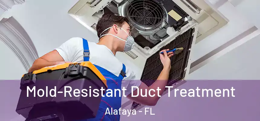 Mold-Resistant Duct Treatment Alafaya - FL