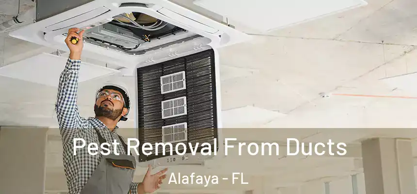 Pest Removal From Ducts Alafaya - FL