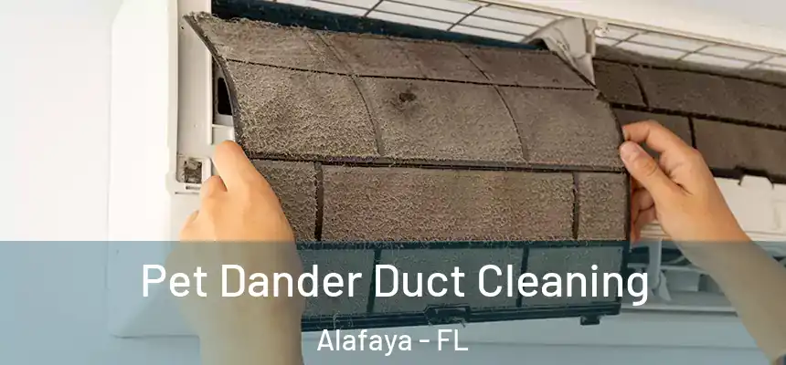 Pet Dander Duct Cleaning Alafaya - FL