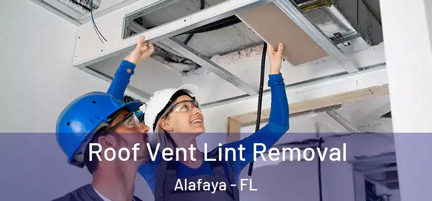 Roof Vent Lint Removal Alafaya - FL