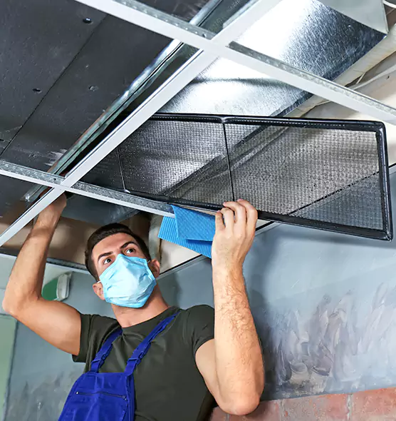 About Air Duct Bacteria Removal in Alafaya