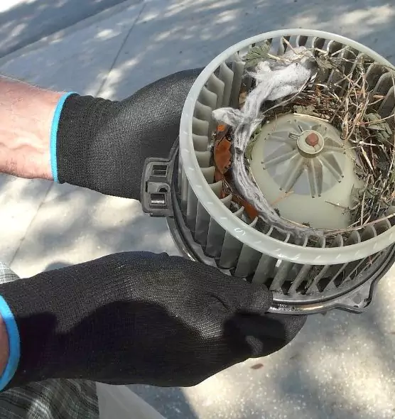 About Air Duct Rat Removal in Alafaya, FL