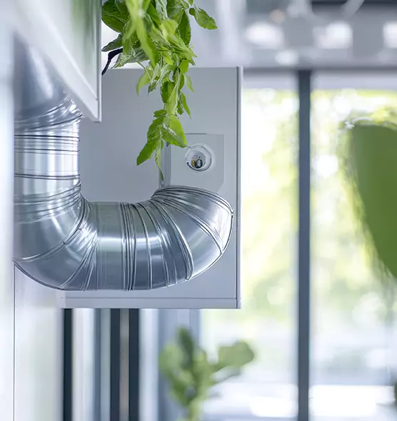 Professional Eco-Friendly Duct Cleaning Services in Alafaya, FL