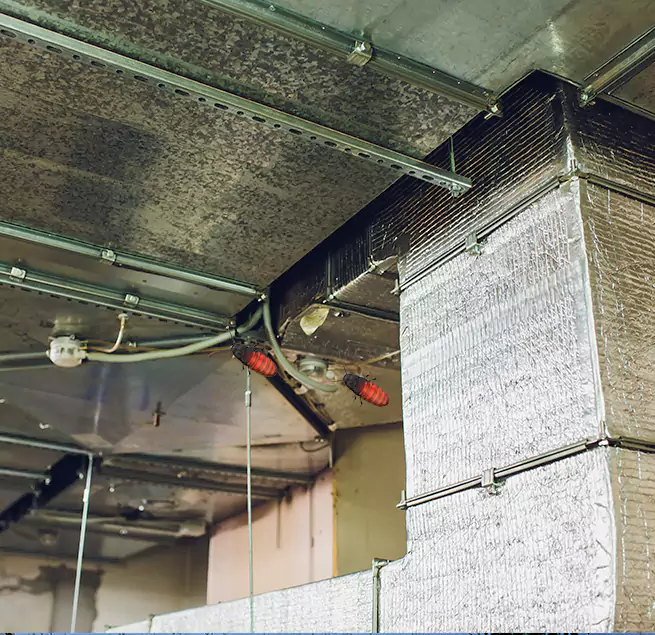 Why Homeowners & Businesses Trust Us in Alafaya, FL?