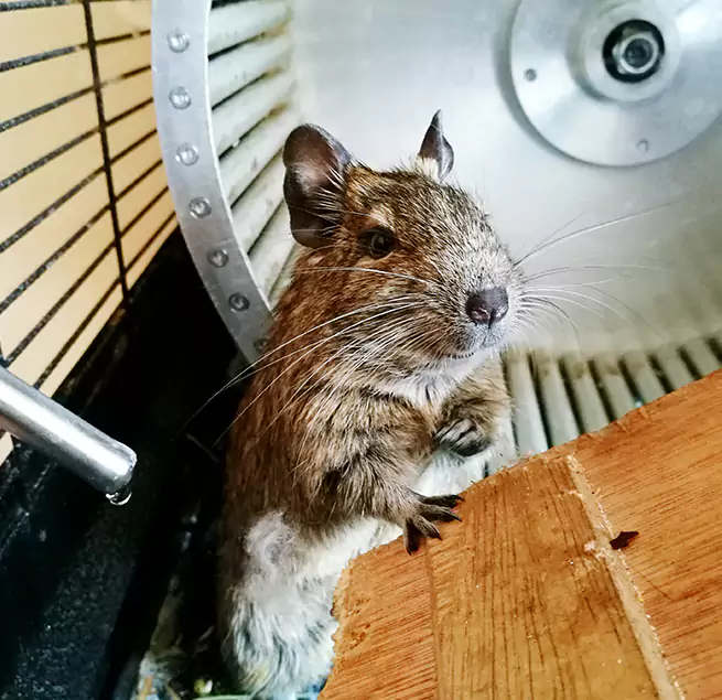 Why Homeowners & Businesses Trust Us Alafaya, FL?