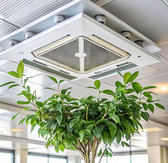 Why Homeowners & Businesses Trust Us in Alafaya, FL