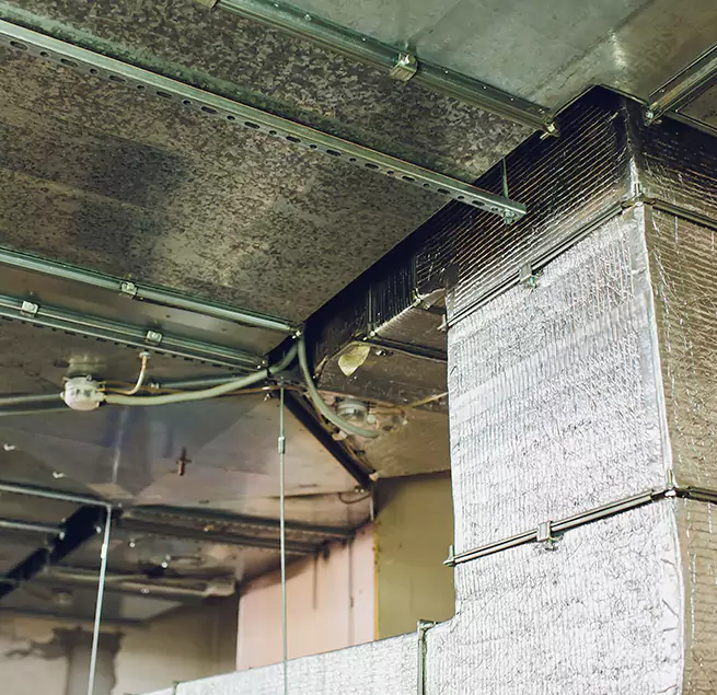 Why Homeowners & Businesses Trust Us in Alafaya, FL?