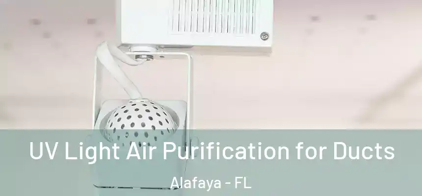 UV Light Air Purification for Ducts Alafaya - FL